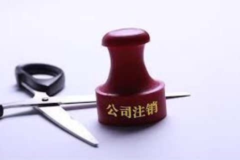 拉薩注銷一個(gè)公司，需要去幾個(gè)部門？整體時(shí)間需要多久？大概流程是怎樣的？