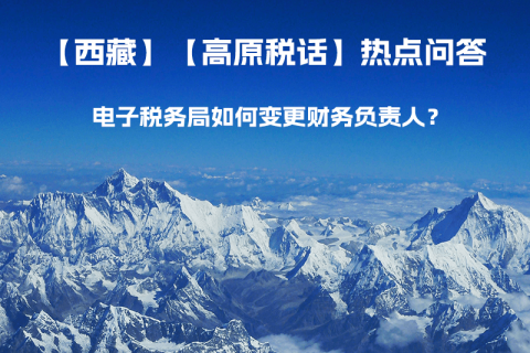 電子稅務(wù)局如何變更財(cái)務(wù)負(fù)責(zé)人？