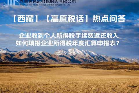 企業(yè)收到個(gè)人所得稅手續(xù)費(fèi)返還收入，如何填報(bào)企業(yè)所得稅年度匯算申報(bào)表？